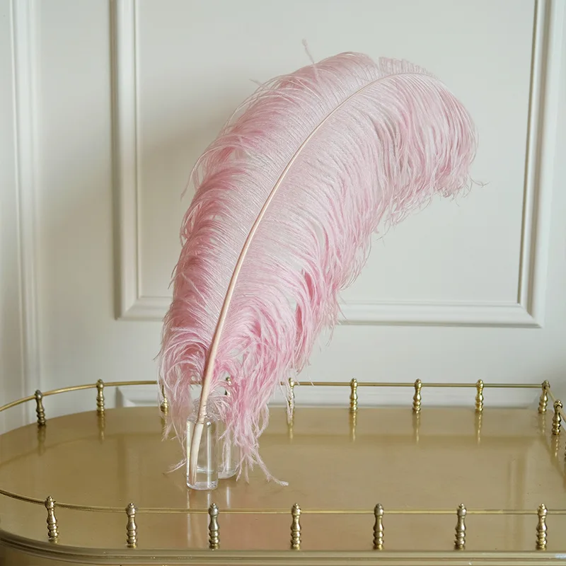 25PC 50-55CM Бежевые крашеные страусиные перья натуральные настоящие перья Пары для свадебных центральных украшений ремесла карнавал.