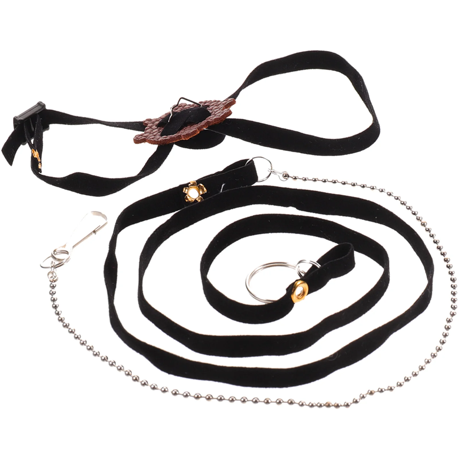 

Leash Pet Harness Turtle Rope Tortoise Walking Collar Pullingtractionbearded Belt Animal Dragon Strap Lizard Duck Reptile