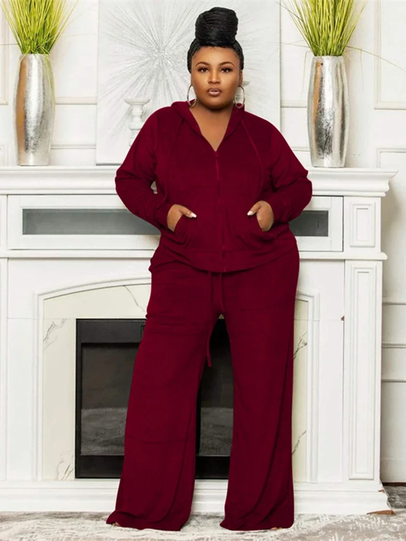 Бархатный спортивный костюм для женщин комплект из двух предметов осенняя