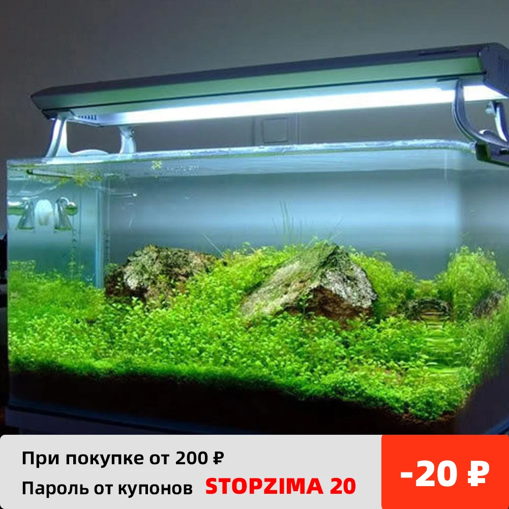 

Aquatic Plant Seeds Aquatic Water Grass Decoration Garden Fish Tank Foreground Plant Comfortable Natural Ecological Environment