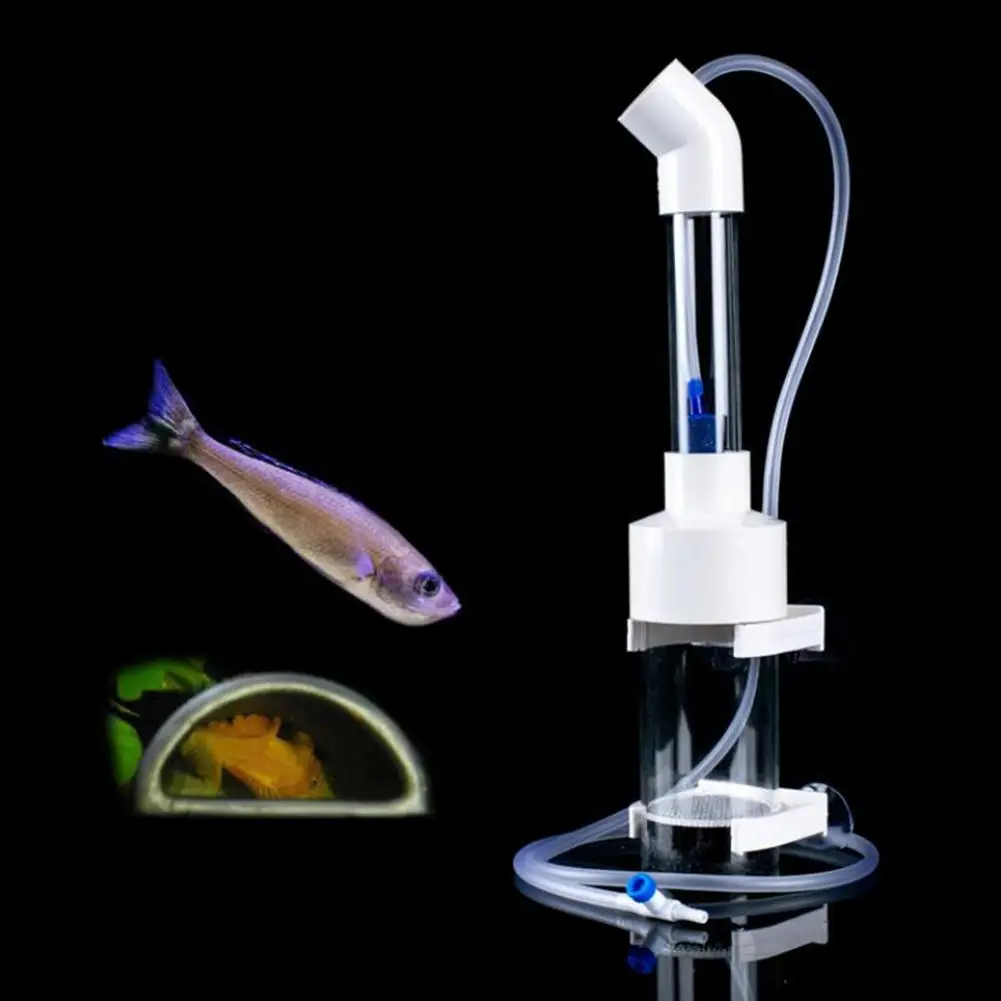 

Fish Egg Incubator Aquarium Fish Hatchery Incubator Cichlids Tumbler Hatchery Breeding Mouth-Brooding For Aquarium Diameter 50mm