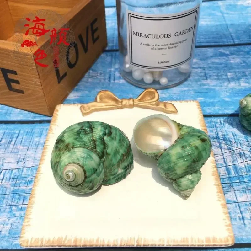 Зеленая Улитка натуральная раковина маленький резервуар для рыбы Ландшафтная