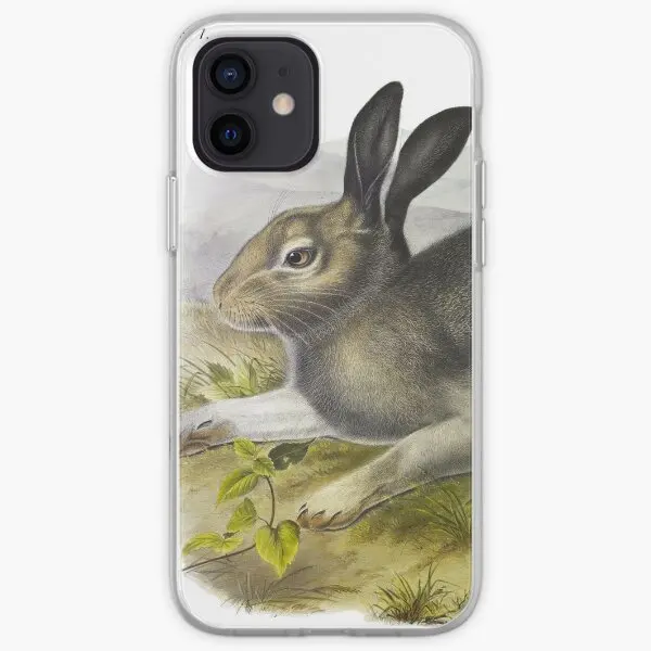 Чехол для iPhone X XS XR Max 11 12 13 14 Pro Mini 6 6S 7 8 Plus