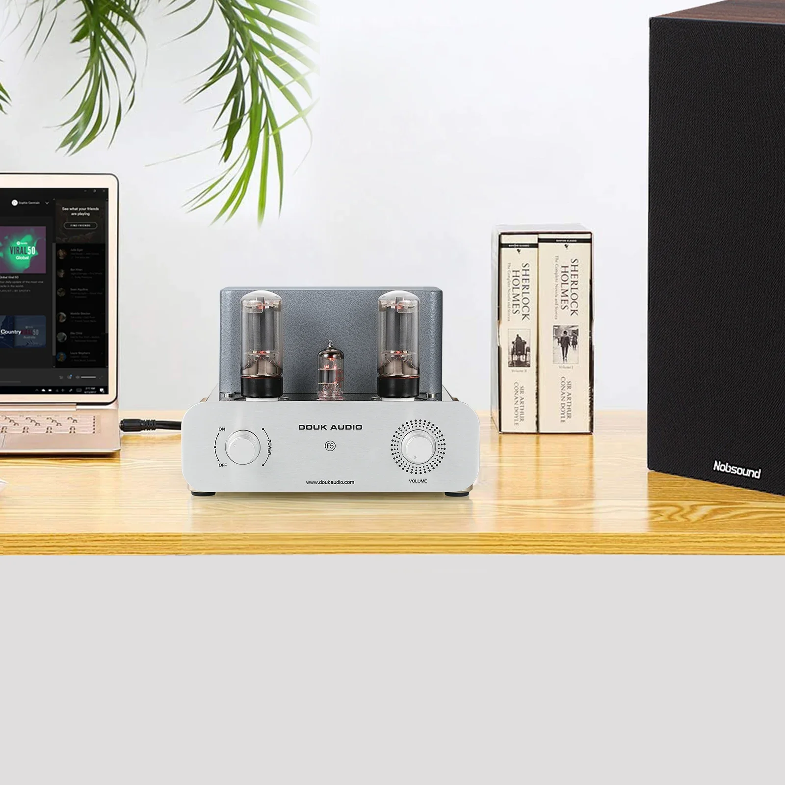 Усилитель звука Douk Hi-Fi бытовой настольный ламповый односторонний