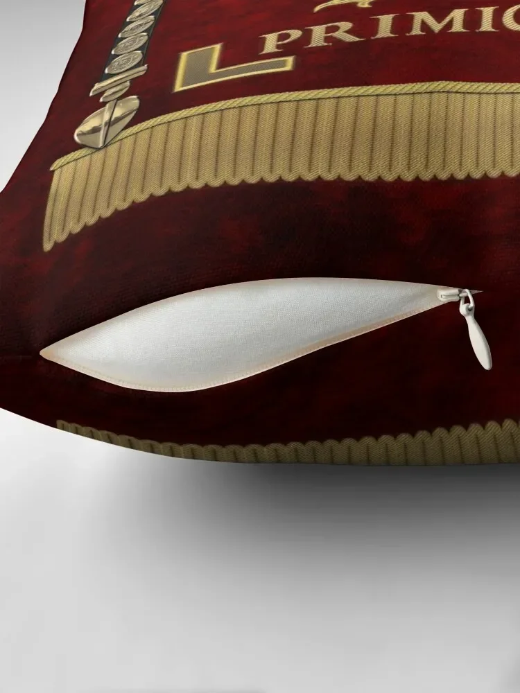 Стандартная 22-й Легион примигения-Vexillum of the Fortune Twenty-Second Legion диванная подушка