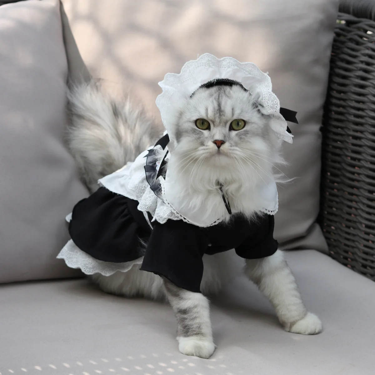 

Lovely Cat Clothes Dress Maid Outfit Pet Clothing for Pet Sweet Fashion Cosplay Costume Spring Summer Chihuahua Ropa Para Perro