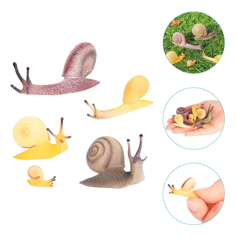 

5 Pcs Simulation Snail Toy Miniature Toys Realistic Figurine Statue Fake Figures Plastic Figurines Animal Child