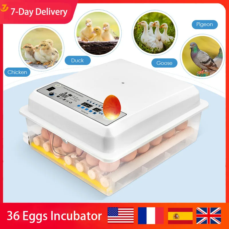 Automatic Egg Incubator 36 Eggs Farm Incubation Tools Bird Quail Chick Hatchery Poultry Hatcher Automatie Incubatores 110/220V