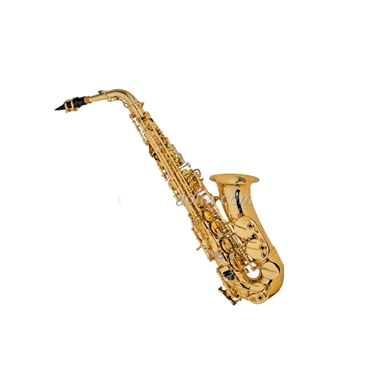 

Brass Lacquered Alto Saxophone With Premium Case(SP1013G)