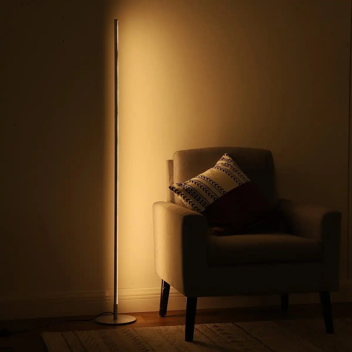 

HMTX LED Dimmable Floor Lamp, 57.5" Modern Corner Lighting, Silver Metal