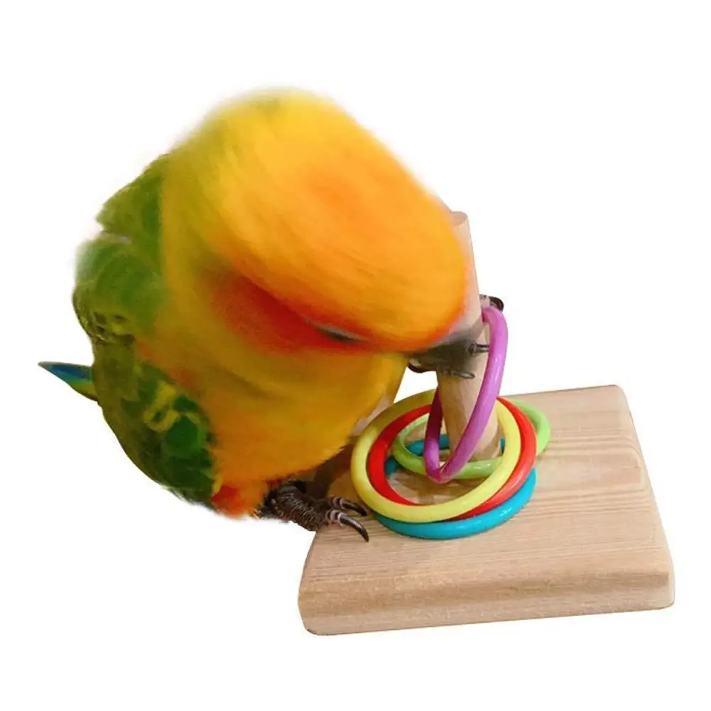 

Birds Parrot Wooden Platform Plastic Rings Intelligence Training Chew Puzzle Toy Block Pet Educational Gifts Parrot Ferrule Toy