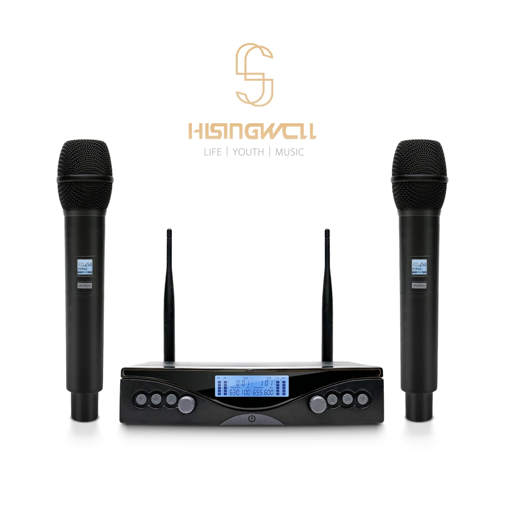HISINGWELL UHF profesyonel çift kablosuz mikrofon sistemi, Metal mikrofon, sahne için uygun, Karaoke, kilise, konuşma