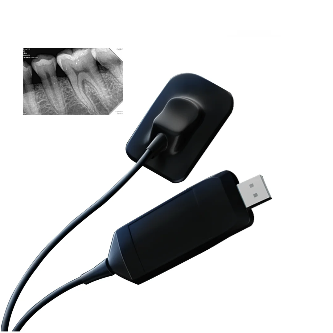 

Lk-C67+ Ez Quality Dental CMOS Portable Digital X Ray Intraloral RVG Sensor Imaging System Detector Model R2 Price