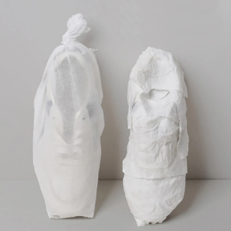 

10 шт./набор, пылезащитные мешки для обуви