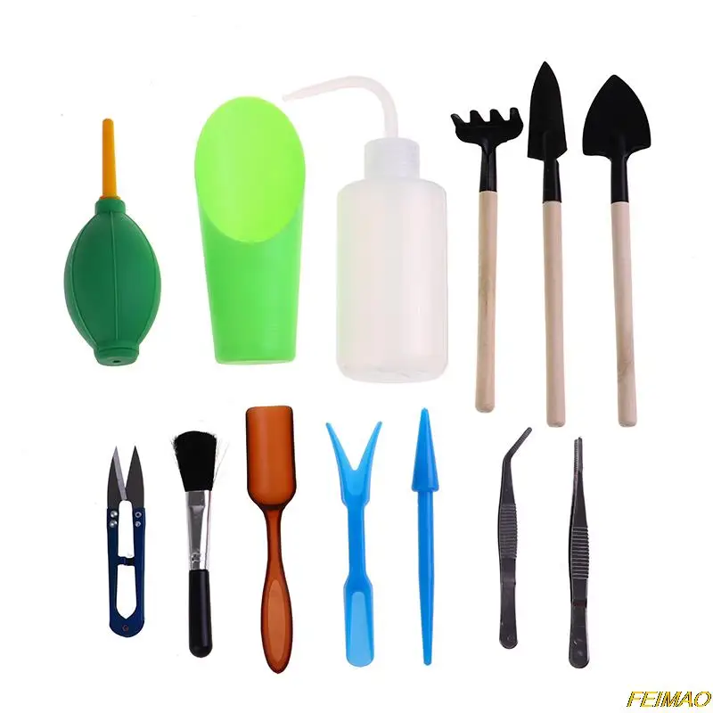 13 шт. миниатюрные растения для выращивания растений |