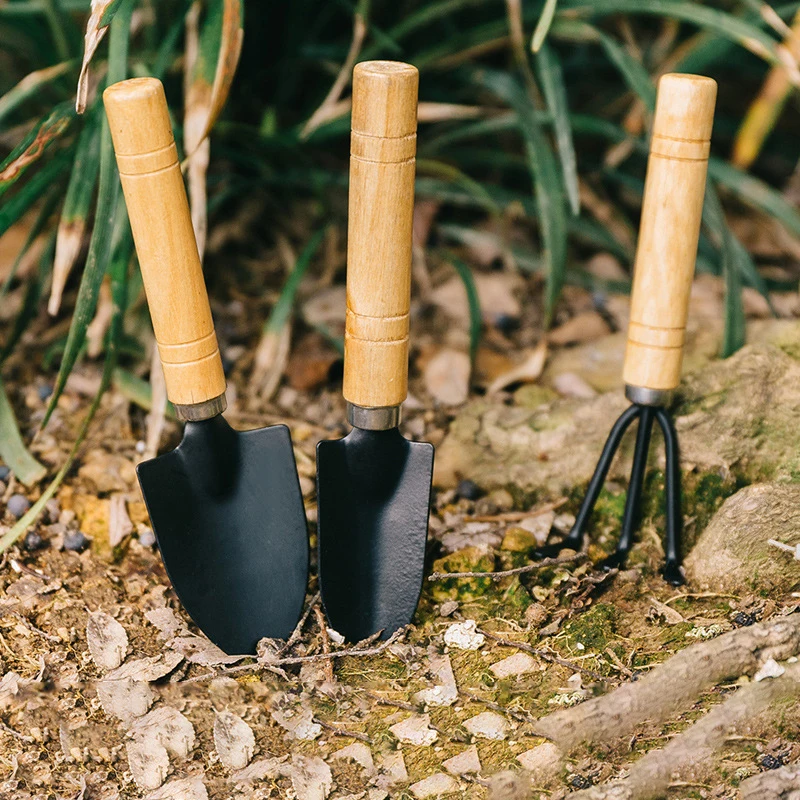 

3Pcs Portable Mini Plant Tools Rake Planter Shovel Soil Scoop Plant Pots Decorative Planting Pots Garden Supplies Plant Tool