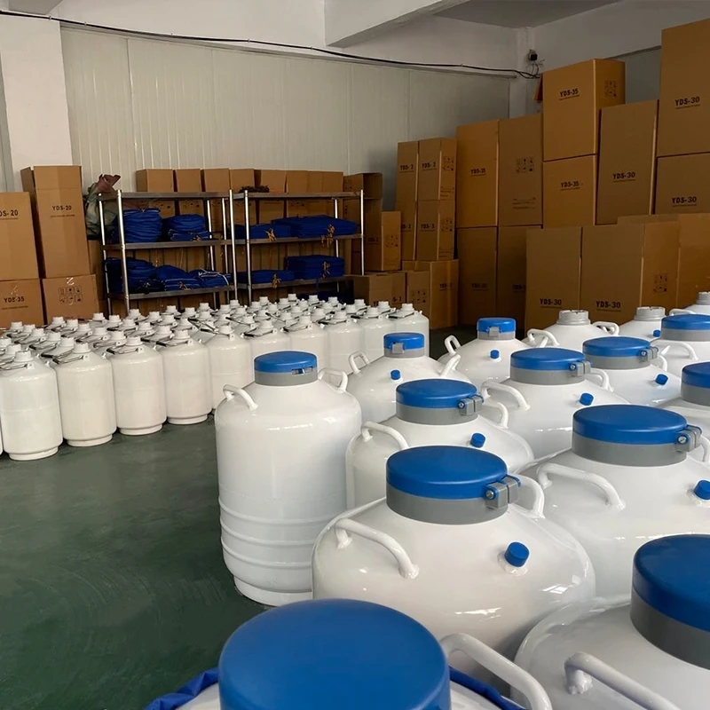 Резервуар под давлением объемом 10 литров для жидкого азота