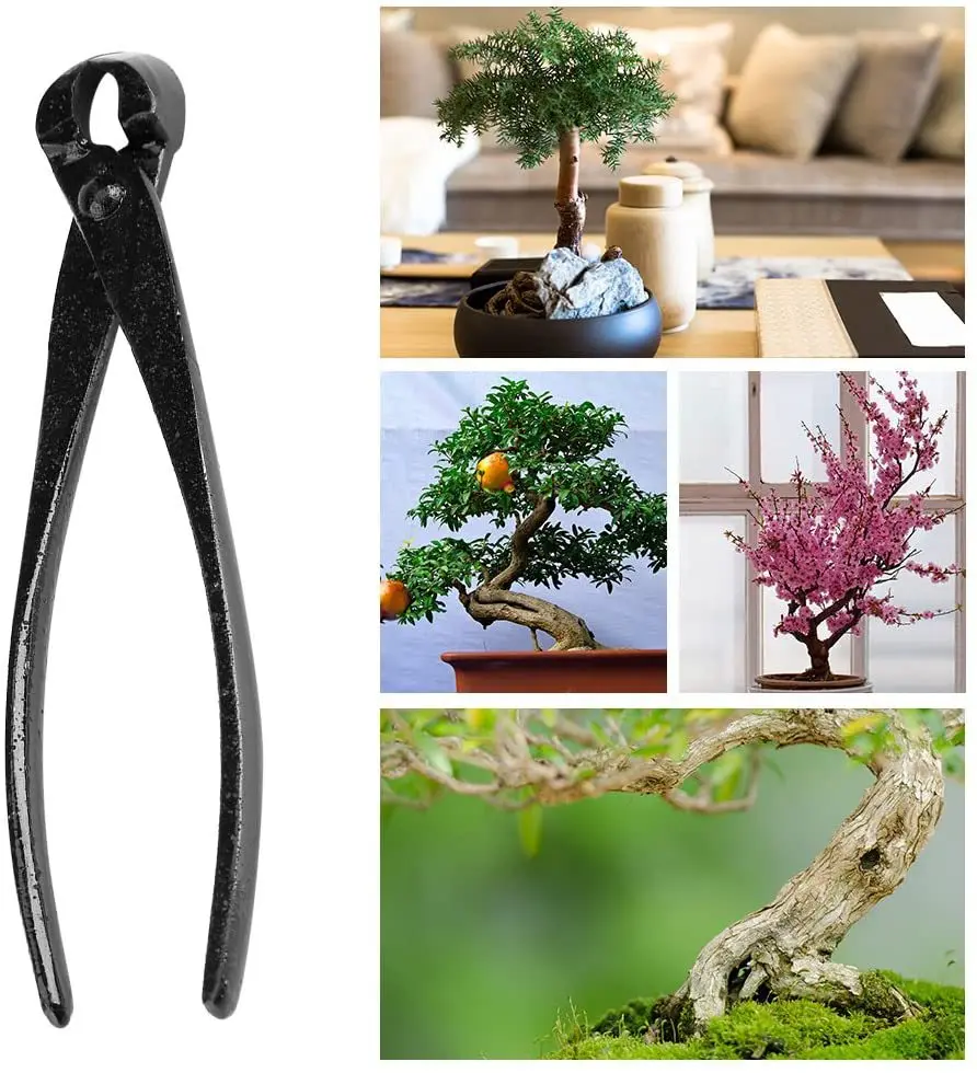 Professional Plant Branch Cutter Round Edge Bonsai Tree Pruners Garden Styling Maintenance Tools Bonsai Ball Section Scissors