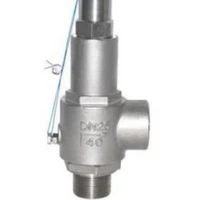 boiler steam safety valve pressure relief valve