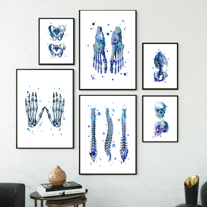 Голубая Анатомия человека настенная Картина на холсте медицинский постер