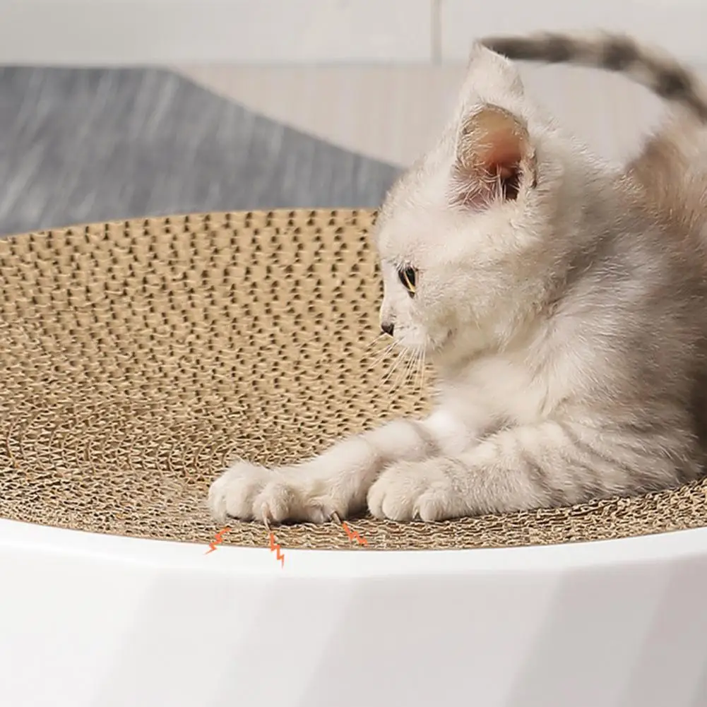 

Interesting Cat Scratching Board Detachable Fall-proof Cat Kitten Claw Scratching Board High Density Cat Scratch Toy for Home