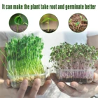 10 шт., поднос для проращивания семян