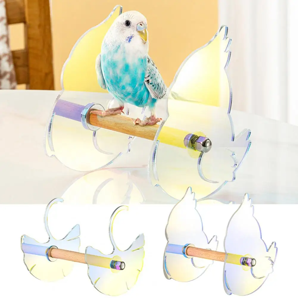 

Искусственная прочная куриная форма, тонкая работа, тараканы, фиксирующие будки, любовь, птицы, попугай, подставка, клетка, аксессуар