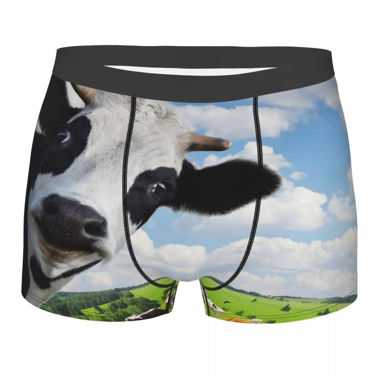 

Boxer Men Underpants Cow With Green Rural Meadow Men's Panties Shorts Breathable Mens Underwear Briefs Sexy Boxers