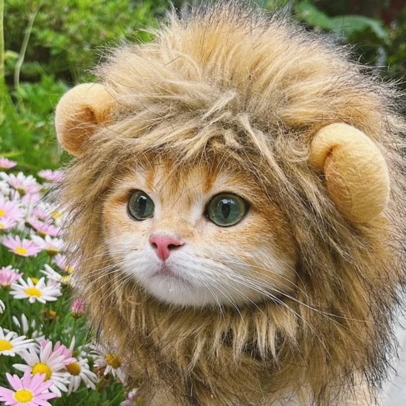 

Маленький костюм для косплея, костюм для домашних животных, женская игрушка, парик для гривы, милые домашние кошки, собаки, кошки, Лев, парик, ...