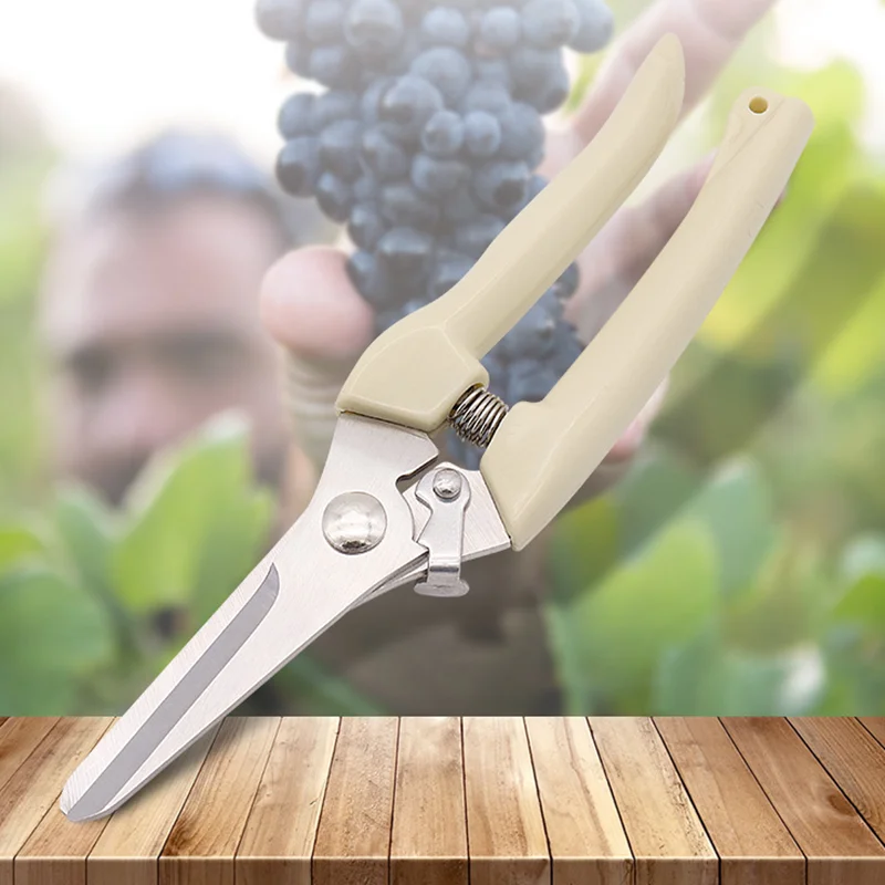 Обрезка растений Секатор для садоводства Садовые и садовые ножницы Инструмент