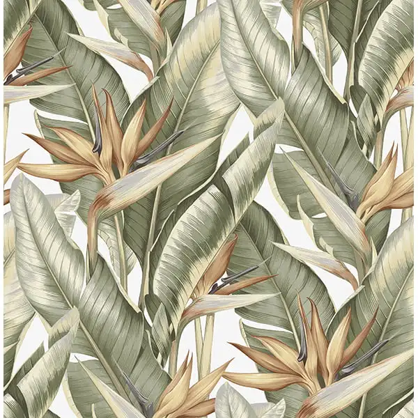 

Arcadia Light Green Banana Leaf Wallpaper