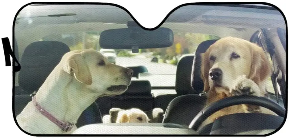 Рисунок 2 - Автомобильный солнцезащитный козырек для лета