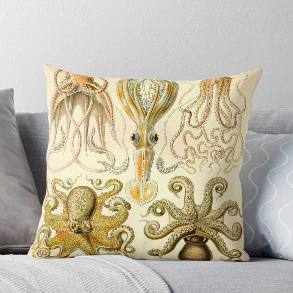 Роскошная Подушка Gamochonia Эрнст Haeckel