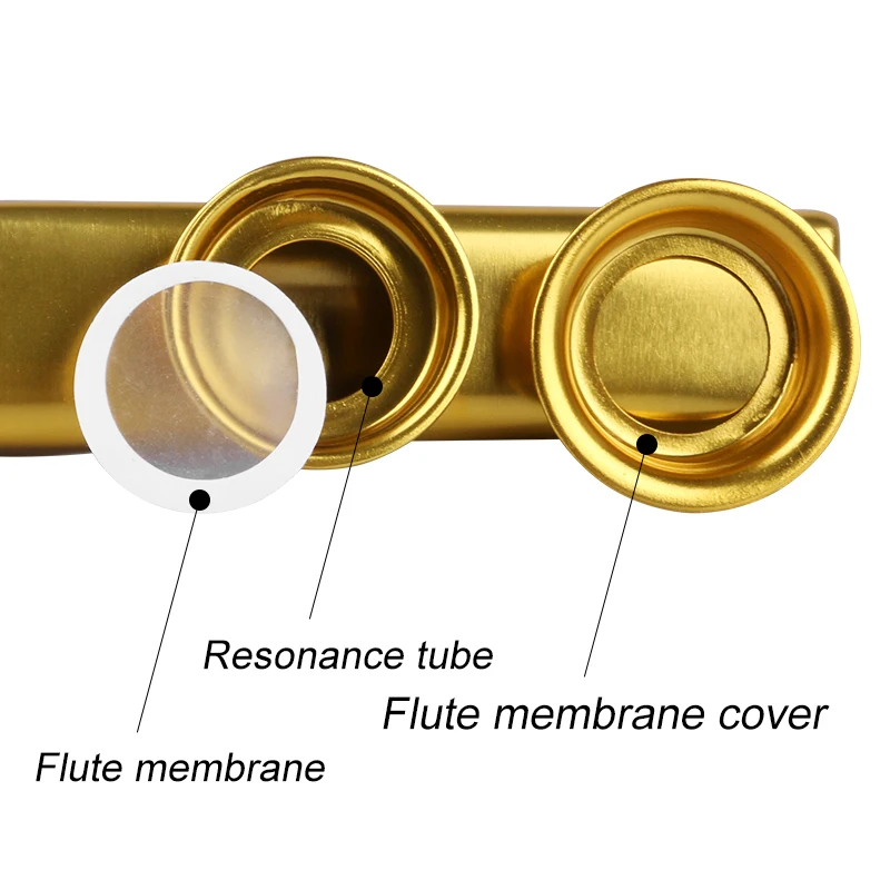 Metal Kazoo Musical Instruments With 20 Pcs Flute Film Gift Simple And Easy To Learn Musical Instruments With Paper Tube