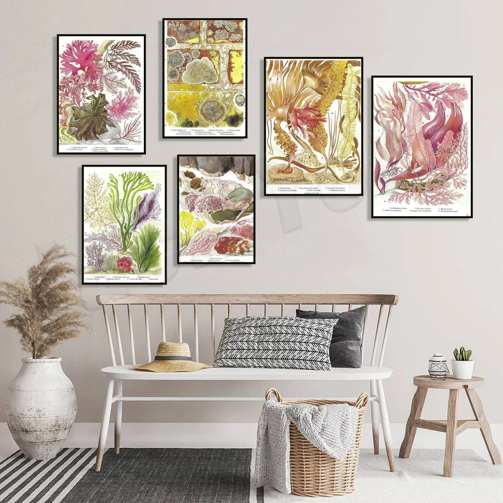 Винтажный постер с морскими водорослями морские растения морское дно папка