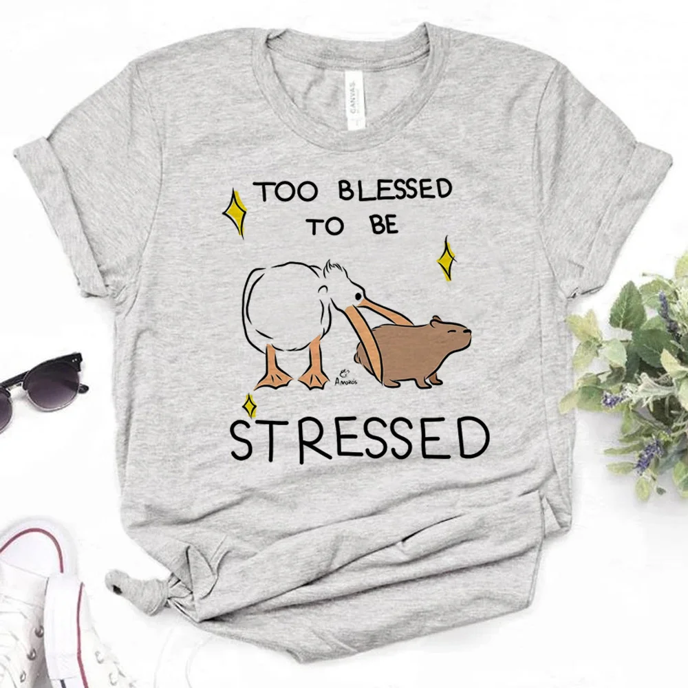 

capybara t shirt women comic t shirt girl y2k clothes