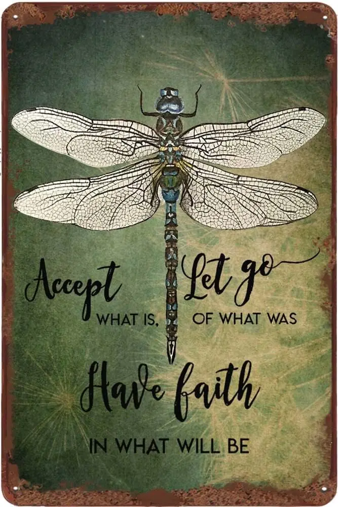 ccept Wht s Let Go of ws Hve Fth n Wll Be - Dndelon nd Drgonfly Funny Tn Sgns Vntge Metl Sgn Bhtroom Decor 8 12 nch
