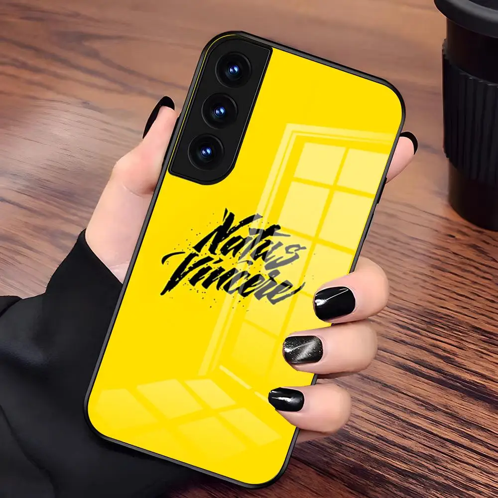 Фото Чехол для игрового телефона N-Natus V-Vincere для Samsung S26 S25 Plus S20 S20 Plus S22 Ultra S23 FE S21 Plus S21 Ultra, стеклянная крышка №5