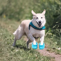 pet dog rain shoes anti slip small dog shoes cute chihuahua spring summer breathable soft mesh dog sandals