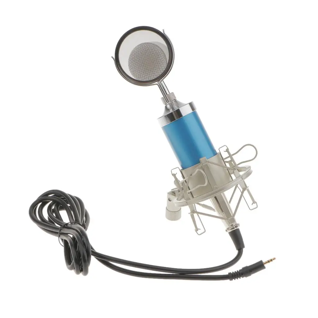 

Condenser Studio KTV High Quality Sound Recording Microphone w/ Shock Mount