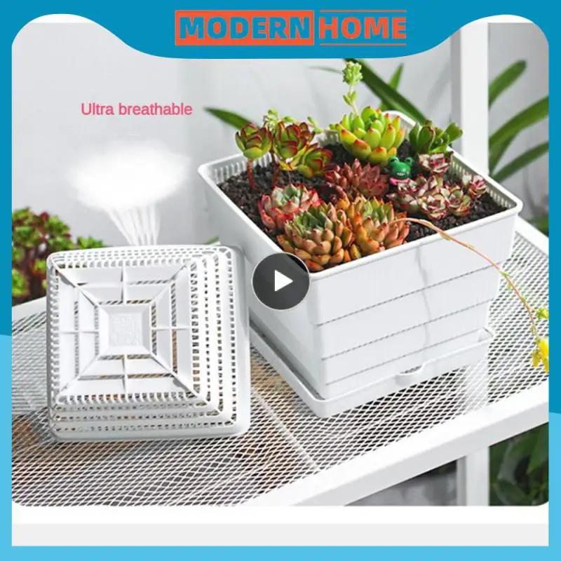 

Breathable Seedling Pot Durable Large Flower Pot The New With Tray Breathable Flower Pot Pots And Planting Succulents Large Firm