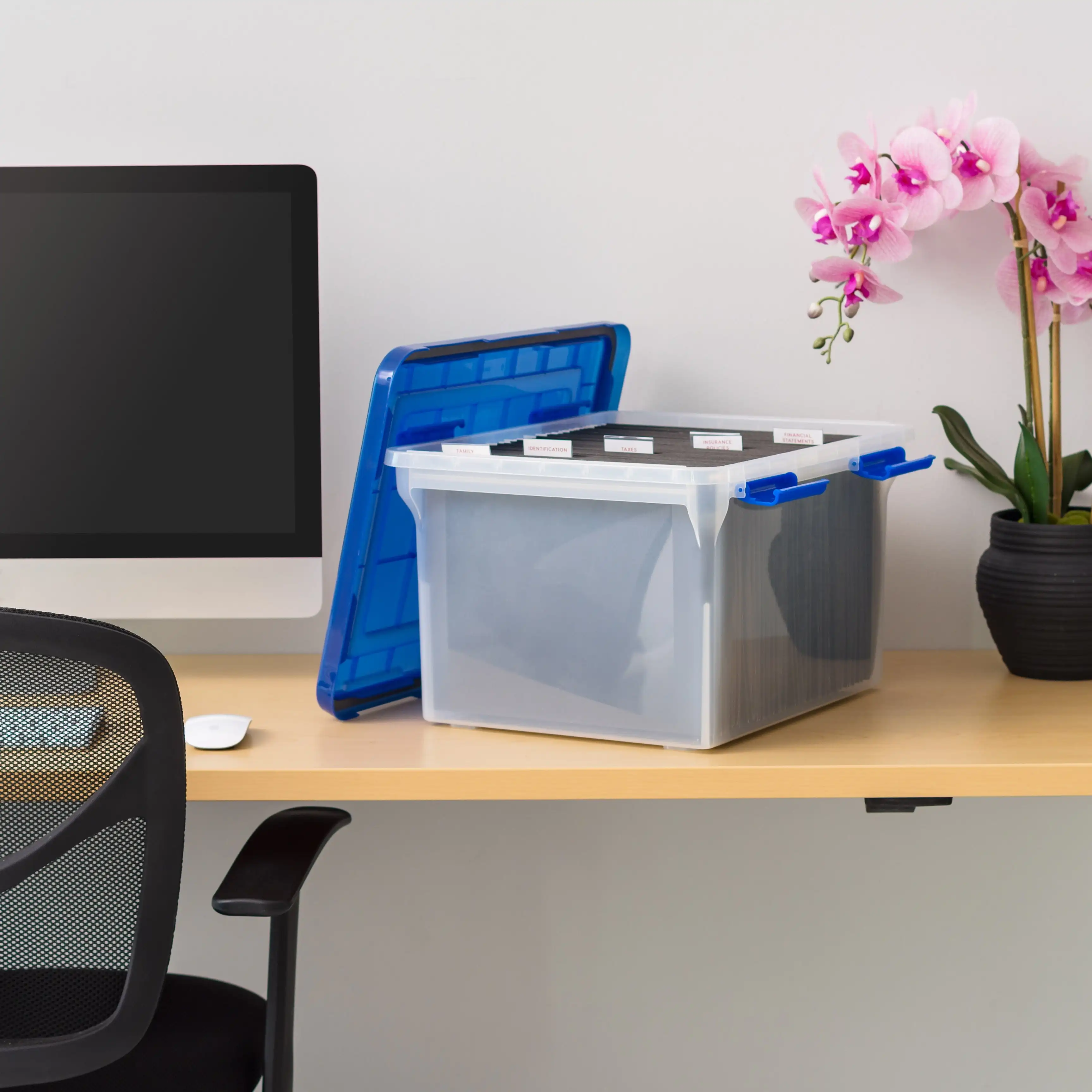 

32 кварты WeatherPro™Прозрачная пластиковая коробка для хранения документов с синей крышкой