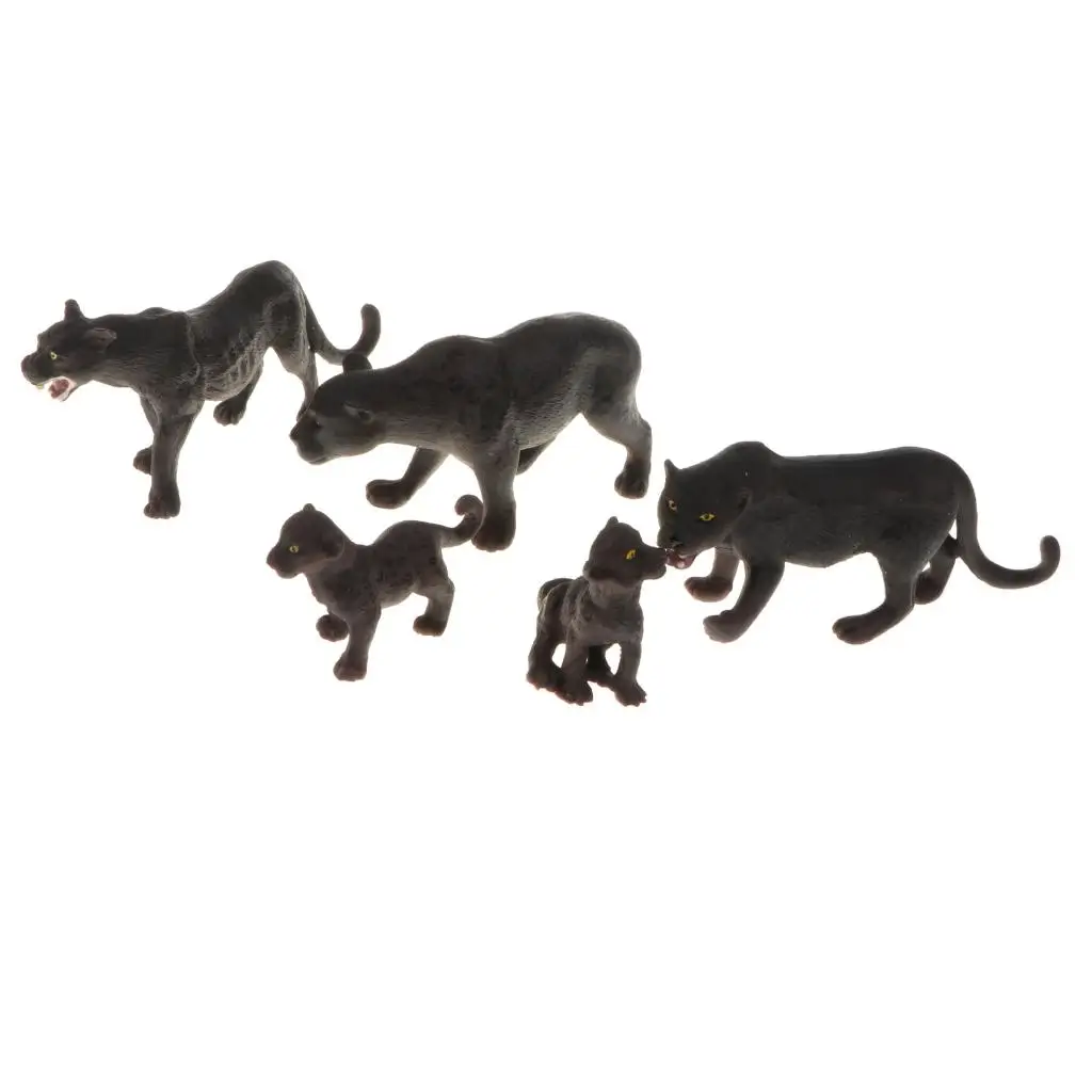 

Model Black Leopard Set, for Kids and Toddlers, Science Nature Educational Toy, Birthday Present