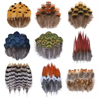 wholesale natural peacock pheasant feathers for crafts jewelry making accessorie wedding decoration dream catcher plumes 50pcs