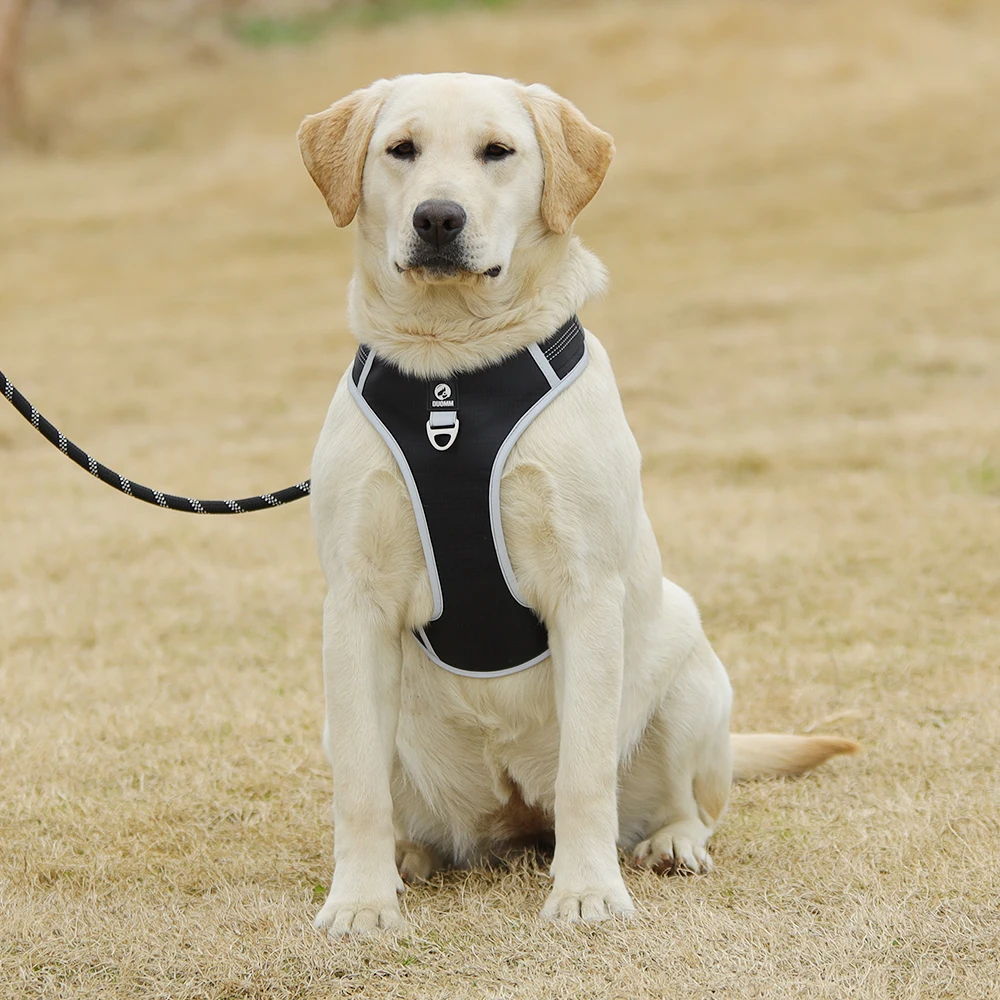 

Светоотражающая шлейка для собак, регулируемый дышащий жилет для пробежек и дрессировки, для средних и больших собак