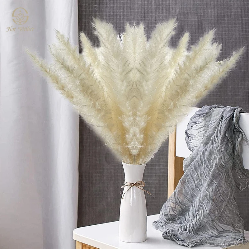 

30PCS Natural White Pampas Grass Dried Flowers Bouquet Bohemian Arrangements Wedding Bedrooms Party Decoration Artificial Plants