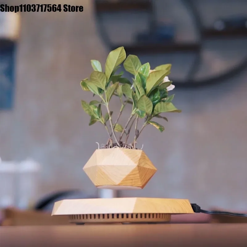 Домашний декор maglevu в горшке новый необычный цветочный горшок креативные