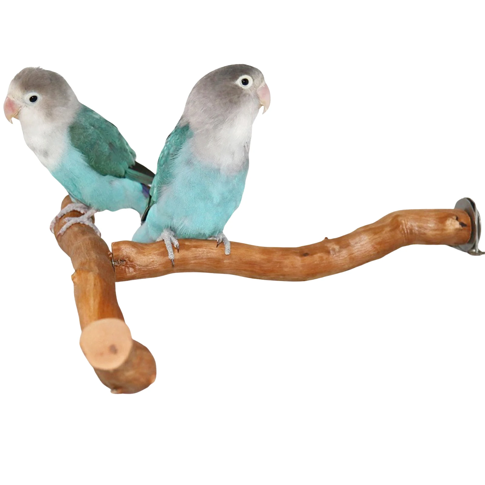 

Pet Parrot Branch Perches Stand Wood Fork Stand Rack Pet Bird Mouth Grinding Claw Grinding Wooden Toy Rest Holder Pet Supplies