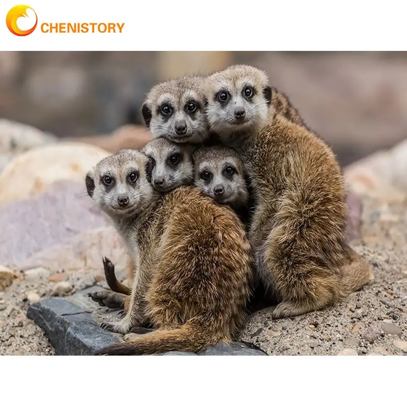 

Мозаика из квадратных/круглых страз CHENISTORY, 5D картина из Мангуста, алмазная вышивка с животными, творческие хобби, домашний декор