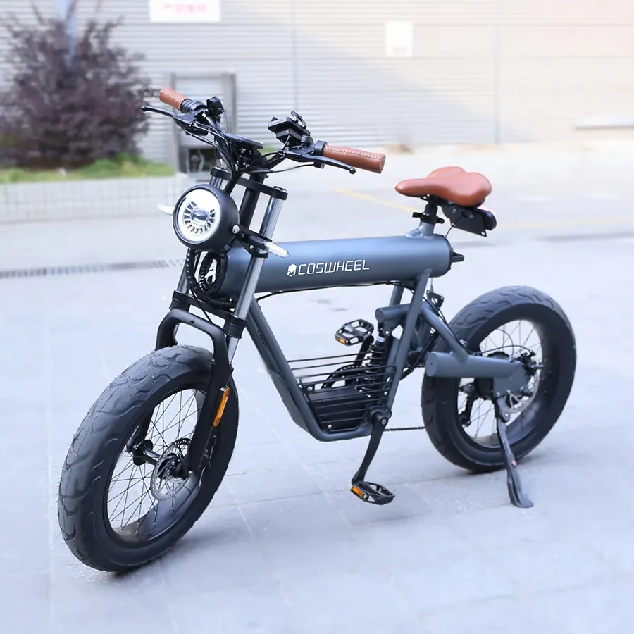 2023 New Retro Style Coswheel T20R High Quality 20 Inch E Bike 1000W 20Ah Mountain Electric Motorcycle Ebike Full Suspension